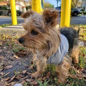 Meet your Posher, Carlos